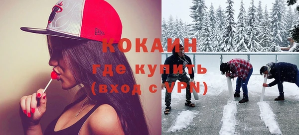 соль ск Арсеньев