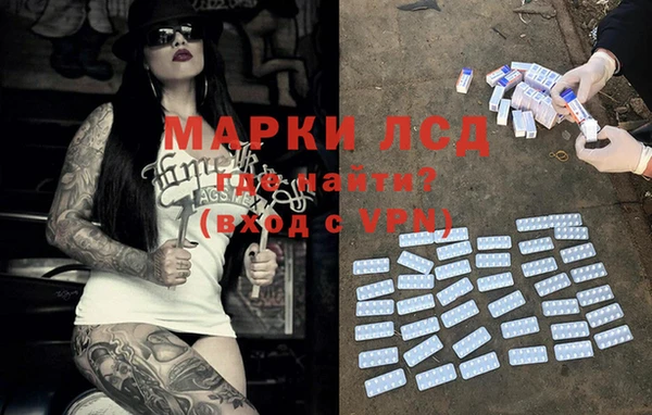 a pvp Аркадак