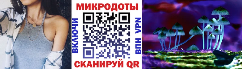 Купить  Усть-Джегута  Псилоцибиновые грибы GOLDEN TEACHER 