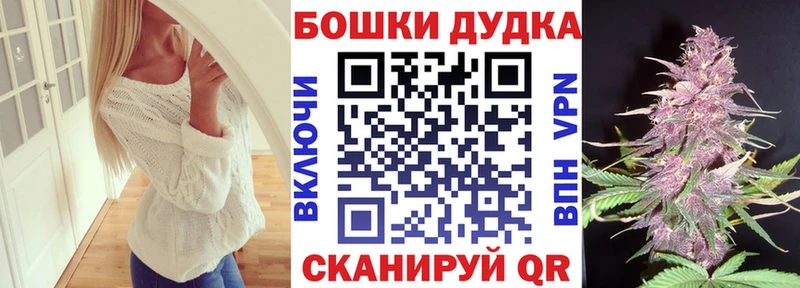 Конопля OG Kush  Купить закладки  Усть-Джегута 